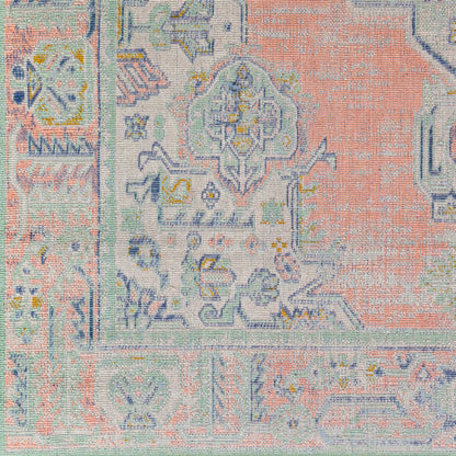 Rafetus ETS-2375 2' x 3' Machine Woven Accent Rug