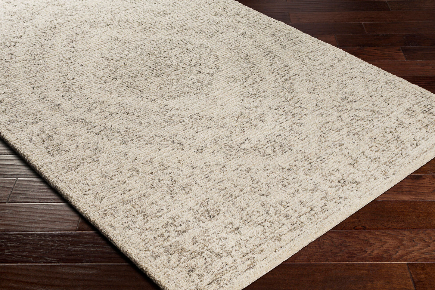Evolution EVL-2300 2' x 3' Handmade Accent Rug