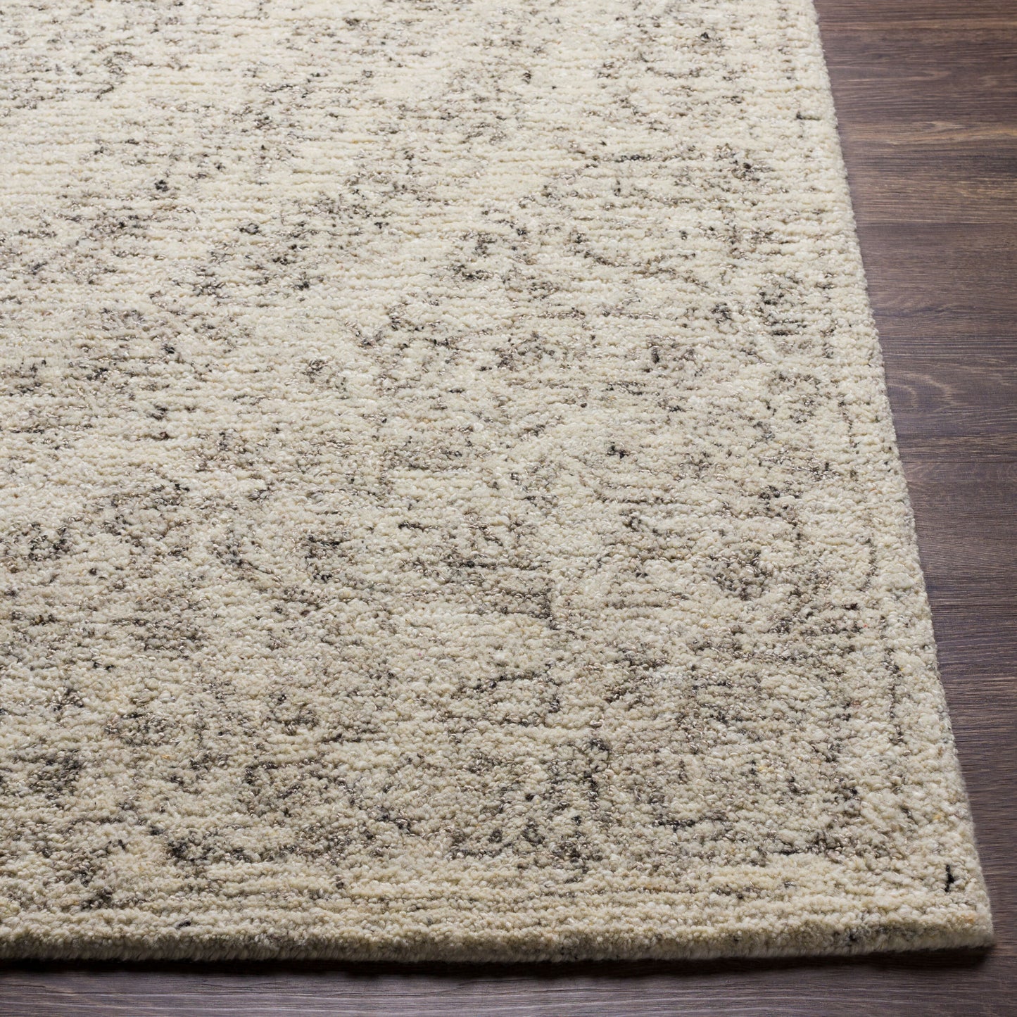 Evolution EVL-2300 2' x 3' Handmade Accent Rug
