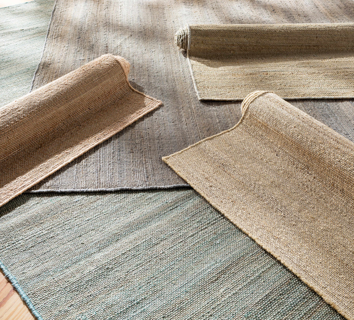 Evora EVO-2302 Hand Woven Rug