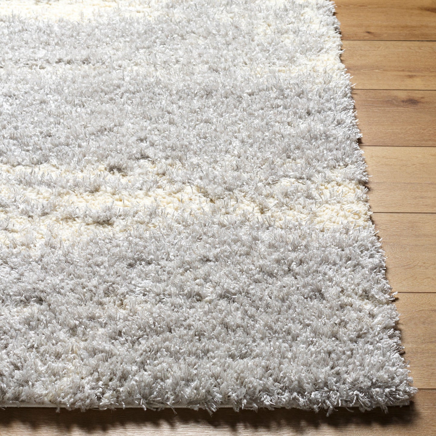 Everton Plus EVP-2301 2' x 3' Machine Woven Accent Rug