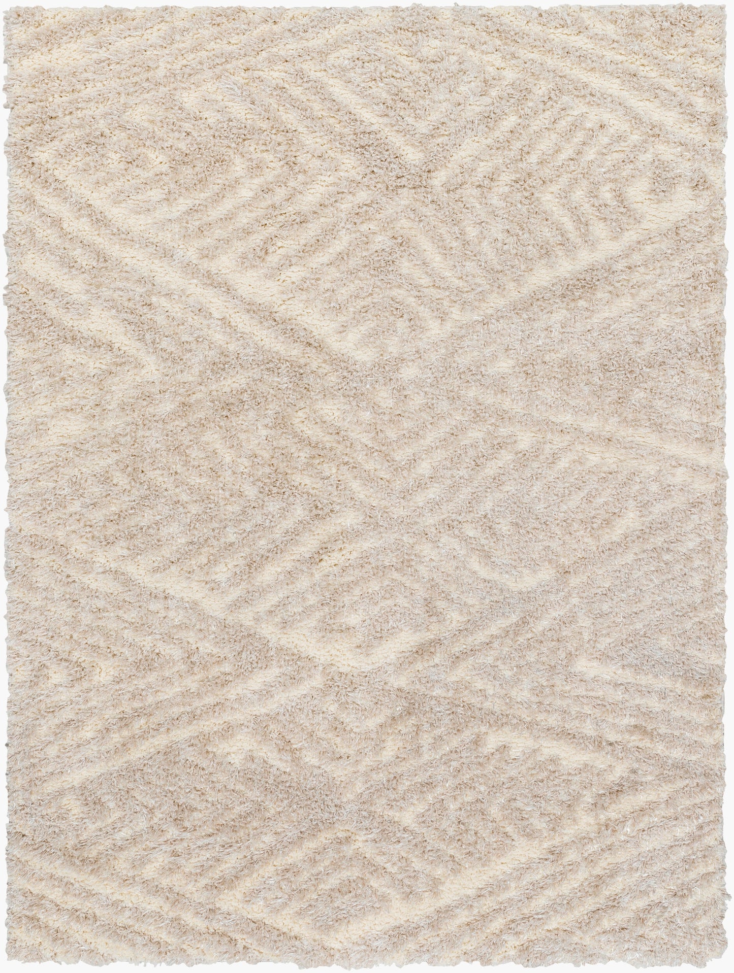 Everton Plus EVP-2302 2' x 3' Machine Woven Accent Rug