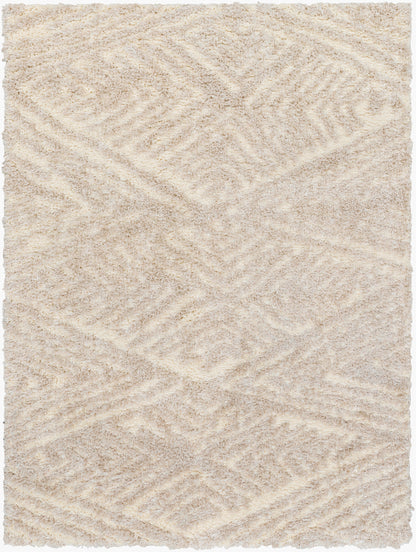 Everton Plus EVP-2302 5' x 7' Machine Woven Area Rug