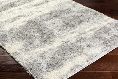 Everton Plus EVP-2303 2' x 3' Machine Woven Accent Rug