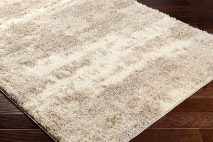 Everton Plus EVP-2304 2' x 3' Machine Woven Accent Rug