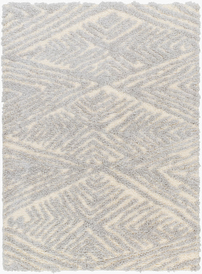 Everton Plus EVP-2305 6' x 9' Machine Woven Area Rug