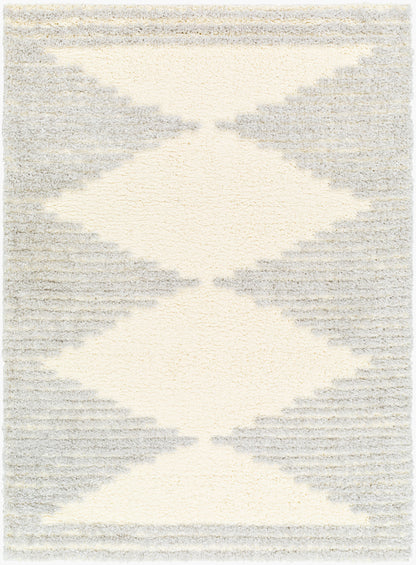 Everton Plus EVP-2307 5' x 7' Machine Woven Area Rug