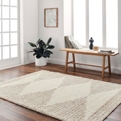 Everton Plus EVP-2308 2' x 3' Machine Woven Accent Rug