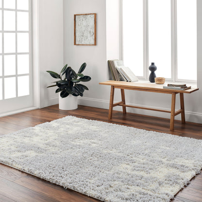 Everton Plus EVP-2310 2' x 3' Machine Woven Accent Rug