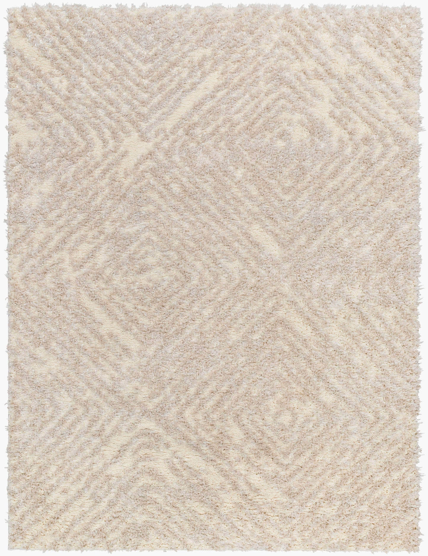 Everton Plus EVP-2313 2' x 3' Machine Woven Accent Rug