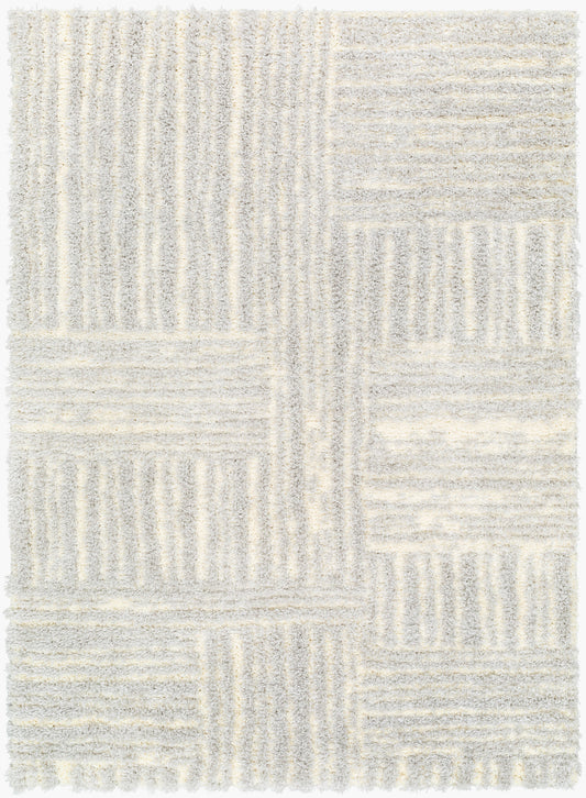 Everton Plus EVP-2314 2' x 3' Machine Woven Accent Rug