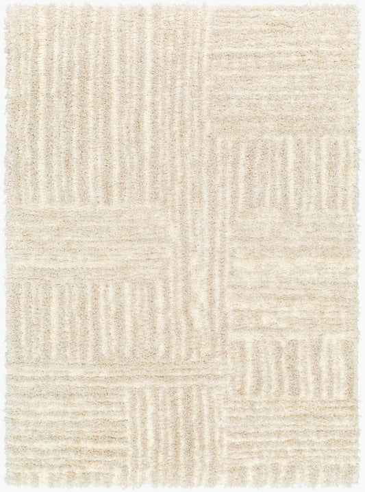 Everton Plus EVP-2315 2' x 3' Machine Woven Accent Rug