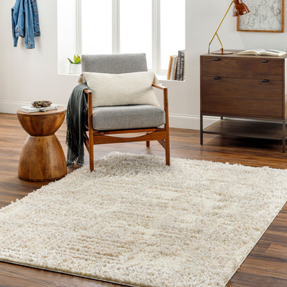 Everton Plus EVP-2319 2' x 3' Machine Woven Accent Rug