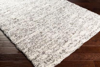 Fanfare FAF-1004 2' x 3' Machine Woven Accent Rug