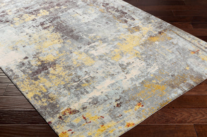 Felicity FCT-8008 2' x 3' Machine Woven Accent Rug