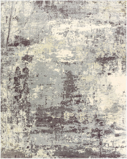 Felicity FCT-8009 2' x 3' Machine Woven Accent Rug