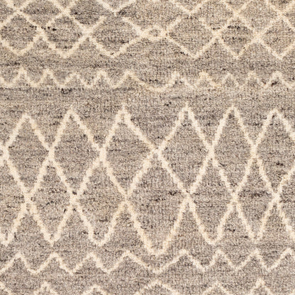 Alfombra decorativa de lana hecha a mano Fez FEZ-2300 de 2' x 3'