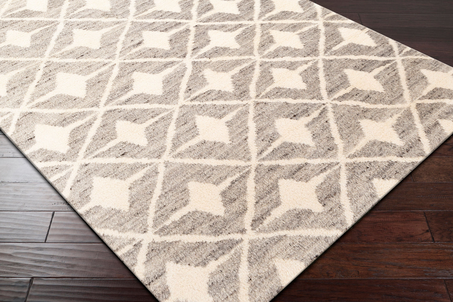 Alfombra decorativa de lana hecha a mano Fez FEZ-2303 de 2' x 3'