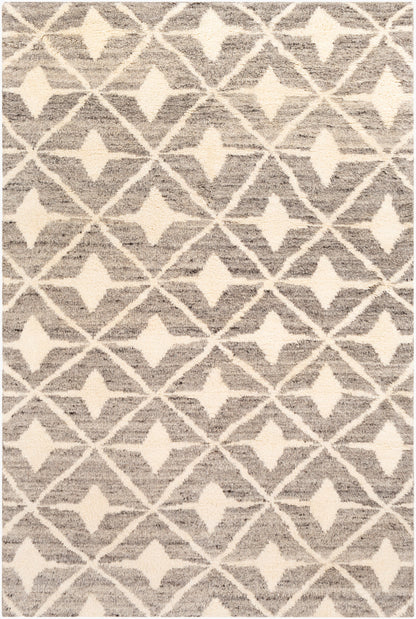 Alfombra decorativa de lana hecha a mano Fez FEZ-2303 de 2' x 3'