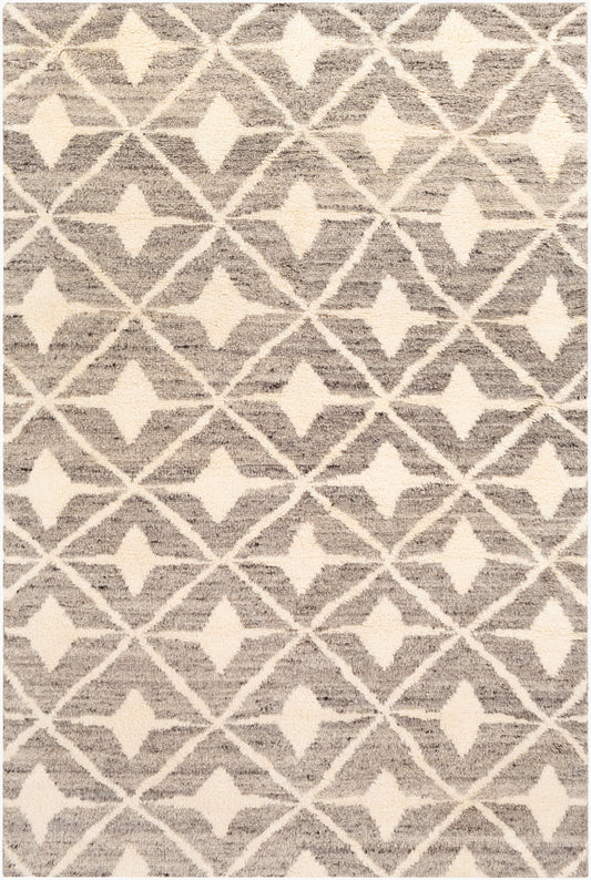 Alfombra decorativa de lana hecha a mano Fez FEZ-2303 de 2' x 3'