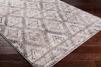 Flokati FKT-2300 2' x 3' Machine Woven Accent Rug