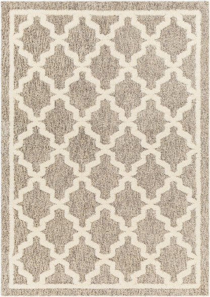 Florida FLD-2300 5' x 7' Machine Woven Area Rug