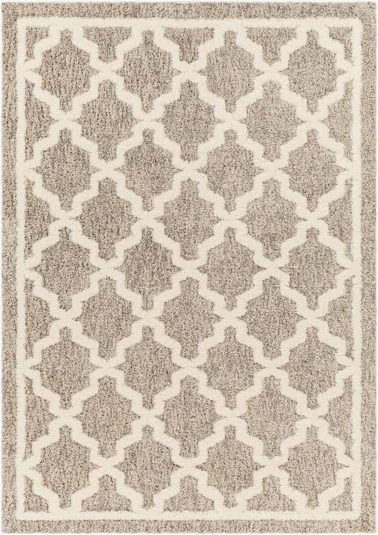 Florida FLD-2300 5' x 7' Machine Woven Area Rug