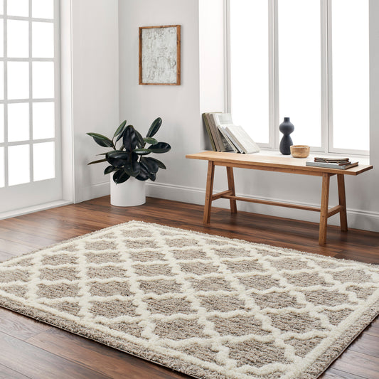 Florida FLD-2300 5' x 7' Machine Woven Area Rug