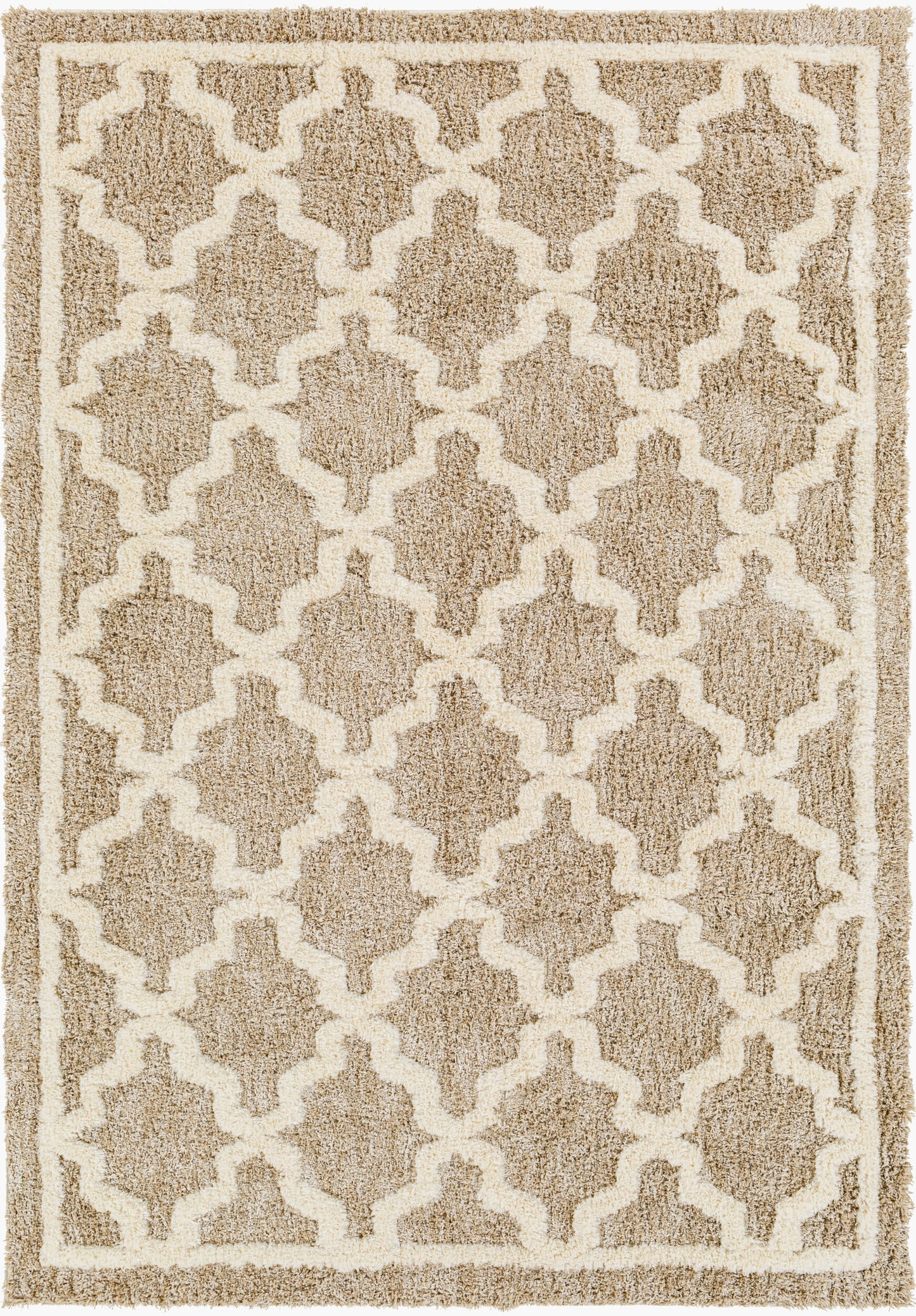 Florida FLD-2302 5' x 7' Machine Woven Area Rug