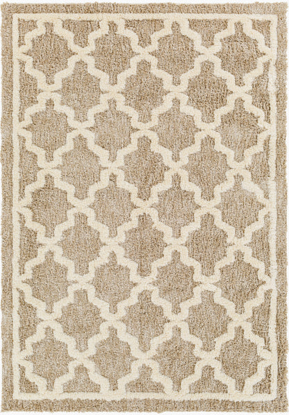 Florida FLD-2302 5' x 7' Machine Woven Area Rug