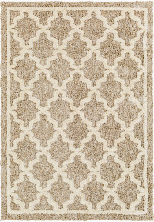 Florida FLD-2302 5' x 7' Machine Woven Area Rug