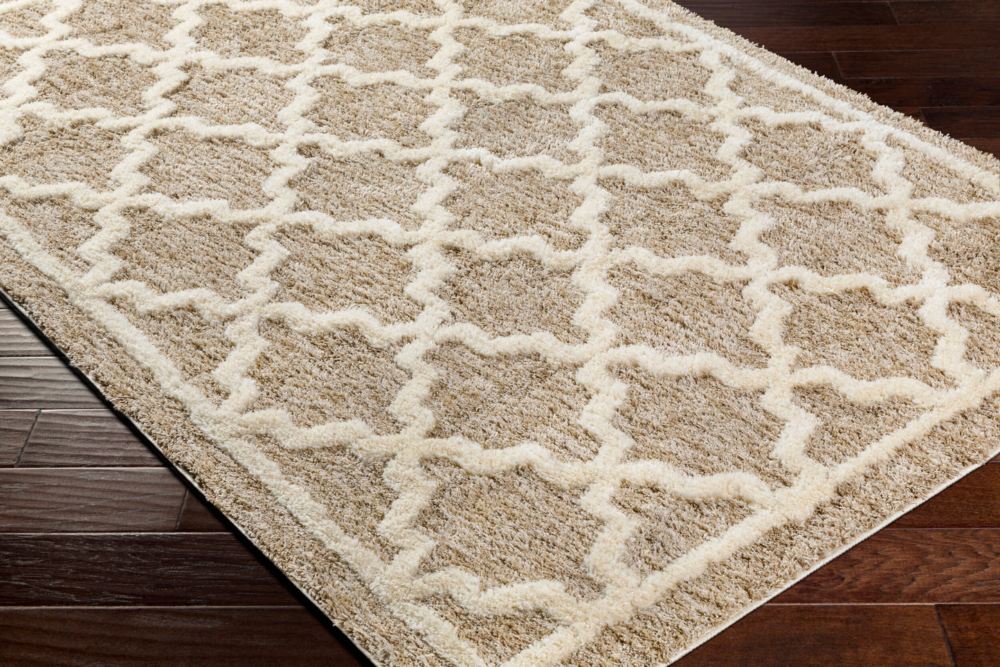 Florida FLD-2302 5' x 7' Machine Woven Area Rug