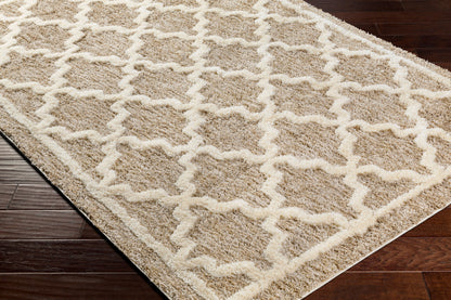 Florida FLD-2302 5' x 7' Machine Woven Area Rug