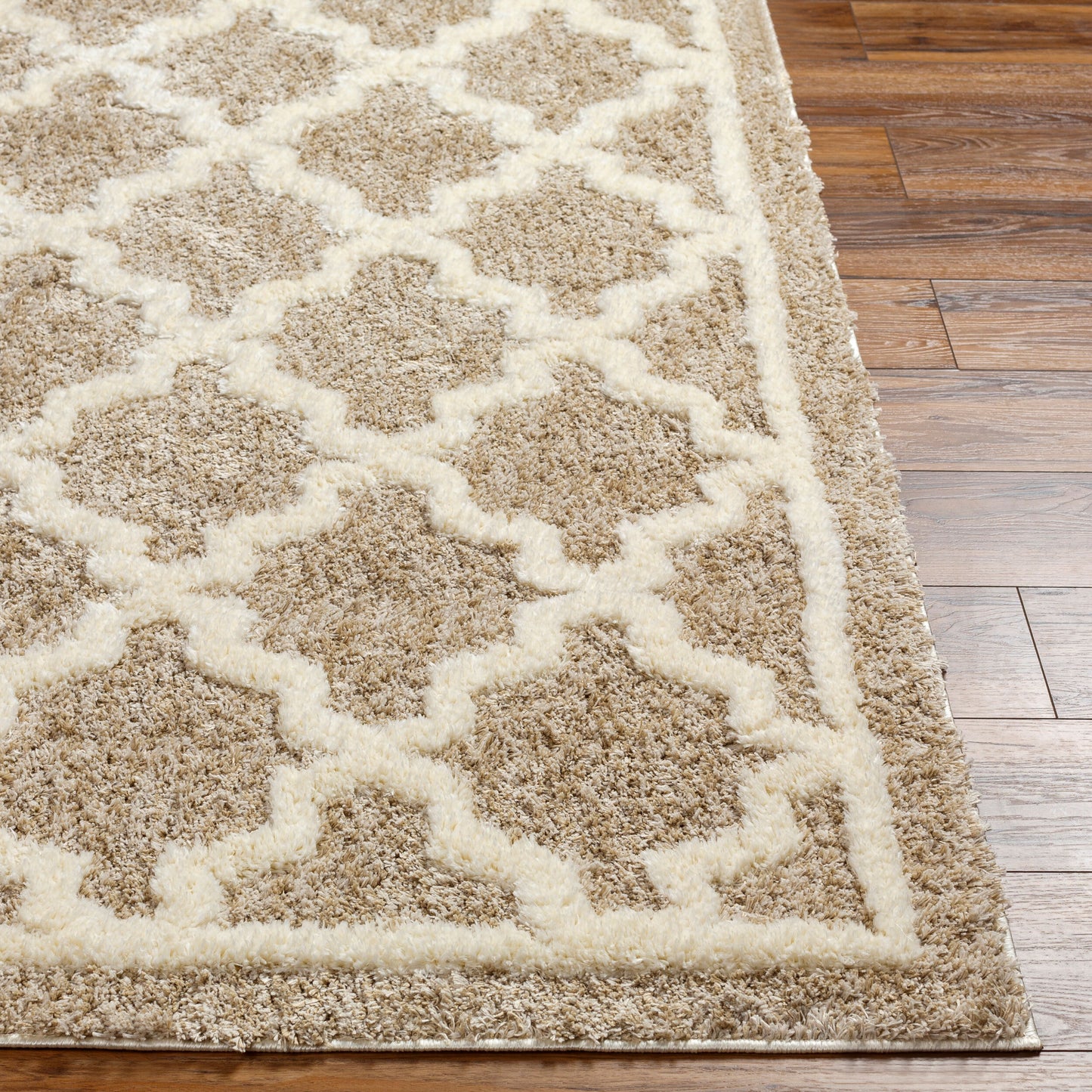 Florida FLD-2302 5' x 7' Machine Woven Area Rug