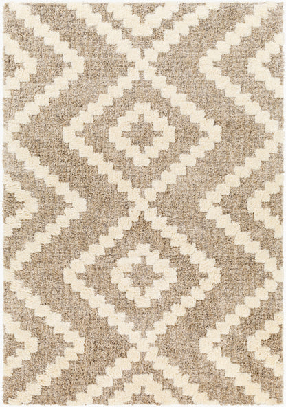 Florida FLD-2303 5' x 7' Machine Woven Area Rug