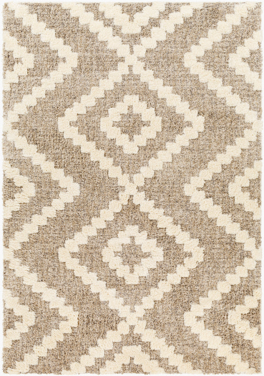 Florida FLD-2303 5' x 7' Machine Woven Area Rug
