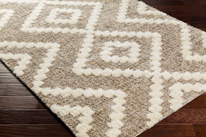 Florida FLD-2303 5' x 7' Machine Woven Area Rug
