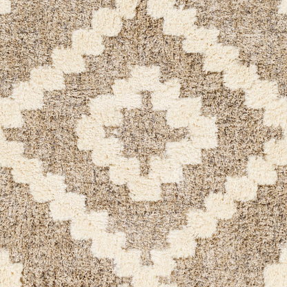 Florida FLD-2303 5' x 7' Machine Woven Area Rug