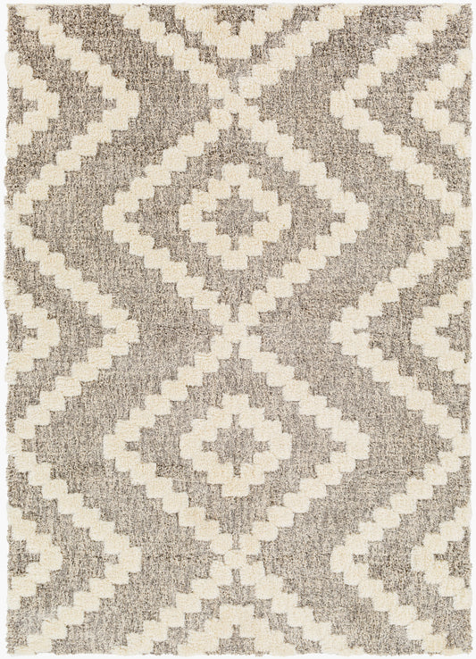 Florida FLD-2304 5' x 7' Machine Woven Area Rug