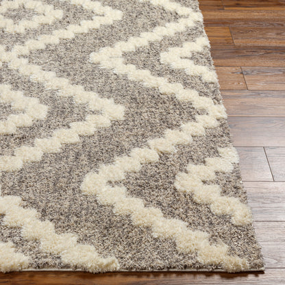 Florida FLD-2304 5' x 7' Machine Woven Area Rug