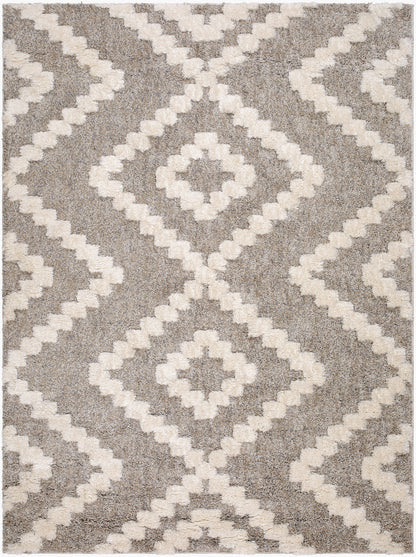 Florida FLD-2305 5' x 7' Machine Woven Area Rug