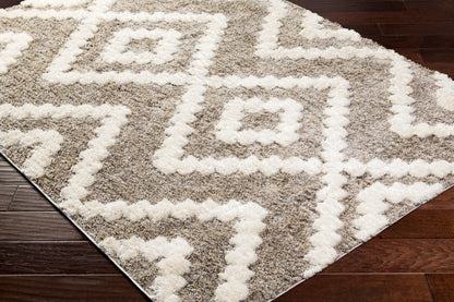 Florida FLD-2305 5' x 7' Machine Woven Area Rug