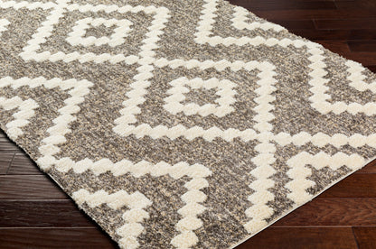 Florida FLD-2306 5' x 7' Machine Woven Area Rug