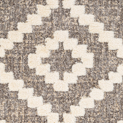 Florida FLD-2306 5' x 7' Machine Woven Area Rug