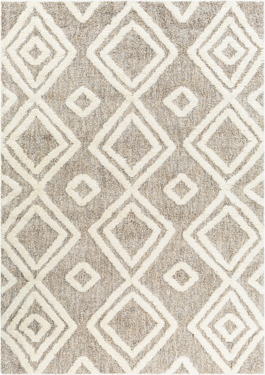 Florida FLD-2307 5' x 7' Machine Woven Area Rug