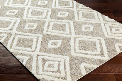 Florida FLD-2307 5' x 7' Machine Woven Area Rug