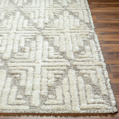 Florida FLD-2309 8' x 10' Machine Woven Area Rug