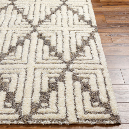 Florida FLD-2310 6' x 9' Machine Woven Area Rug