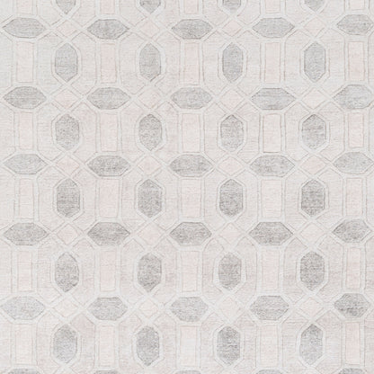 Florentine FNT-1001 2' x 3' Handmade Faux Silk Accent Rug