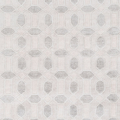 Florentine FNT-1001 Hand Knotted Rug